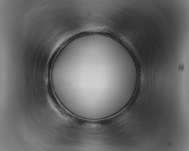 X0000115250582200911201644