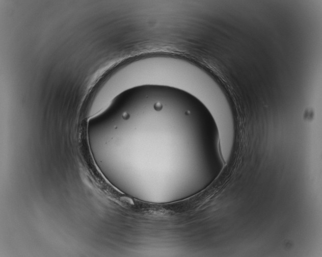 X0000115250583200911201644