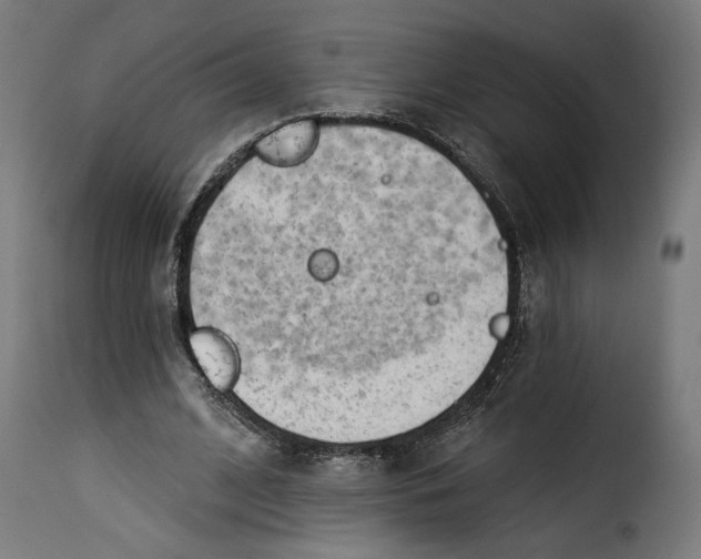 X0000115250584200911201644