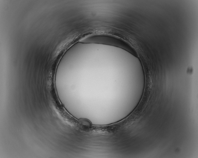 X0000115250586200911201644