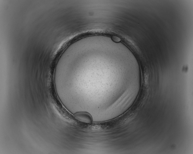 X0000115250588200911201644