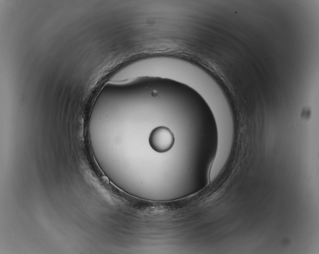 X0000115250589200911201644