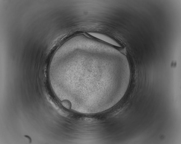 X0000115250590200911201644