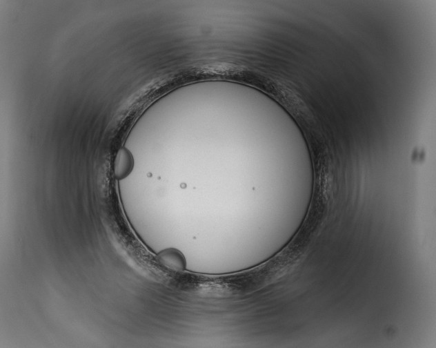 X0000115250591200911201644