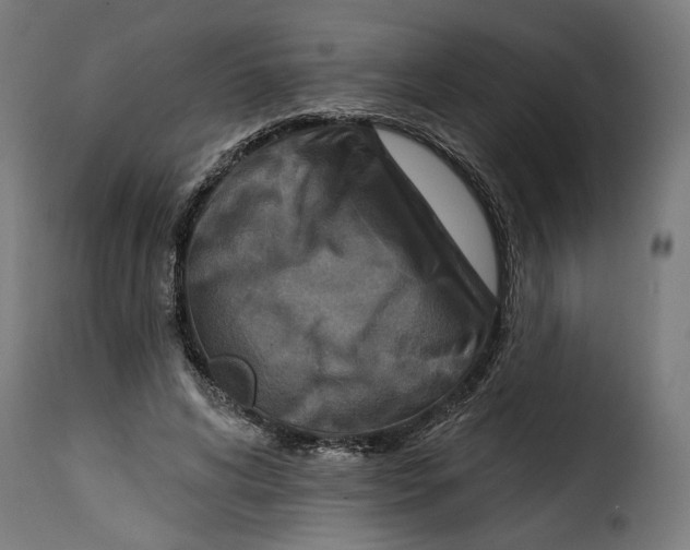 X0000115250592200911201644