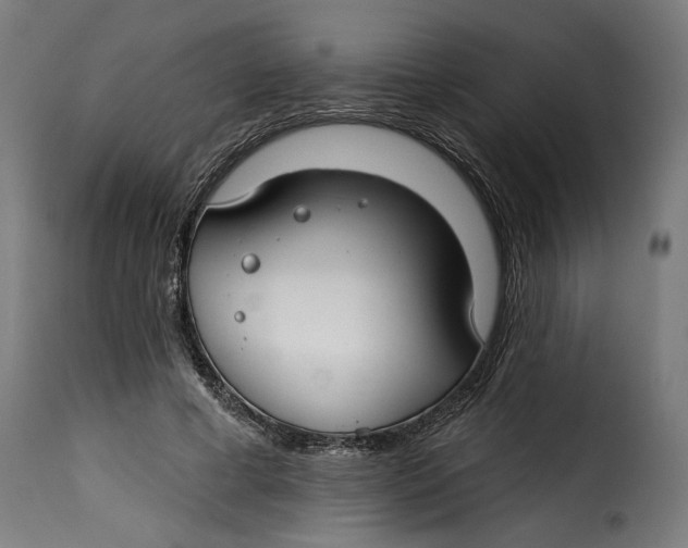 X0000115250593200911201644