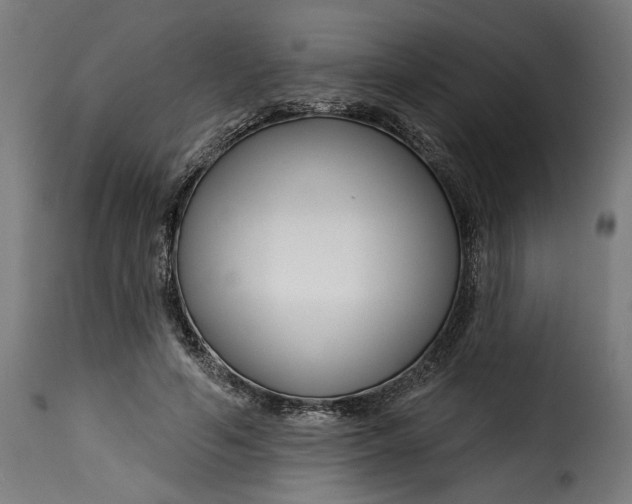 X0000115250594200911201644