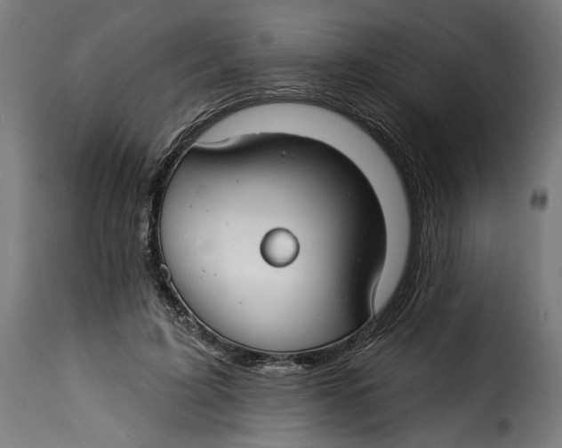 X0000115250595200911201644