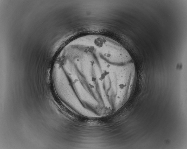 X0000115250596200911201644