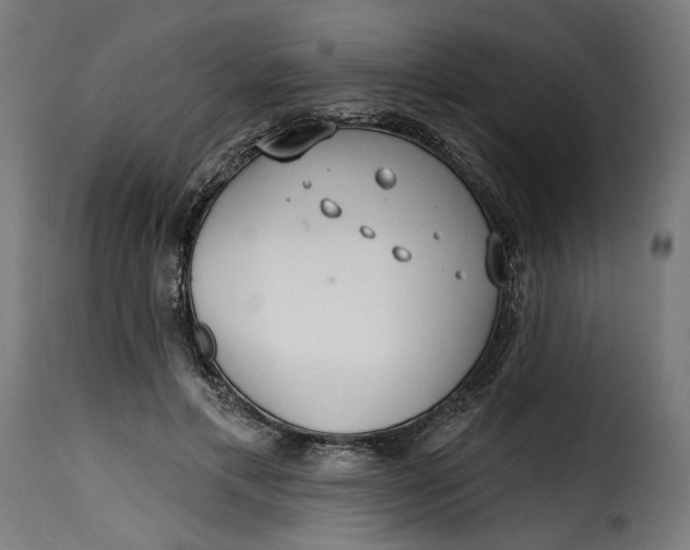 X0000115250597200911201644