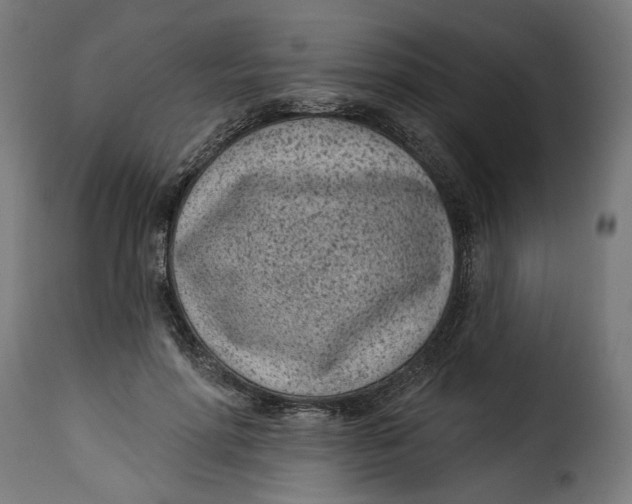 X0000115250598200911201644