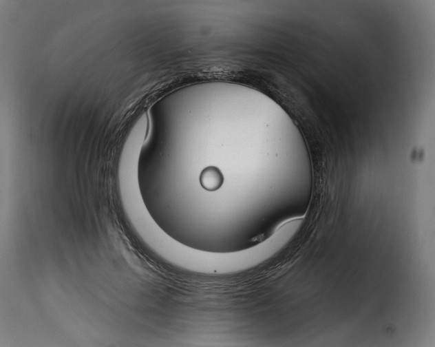 X0000115250599200911201644