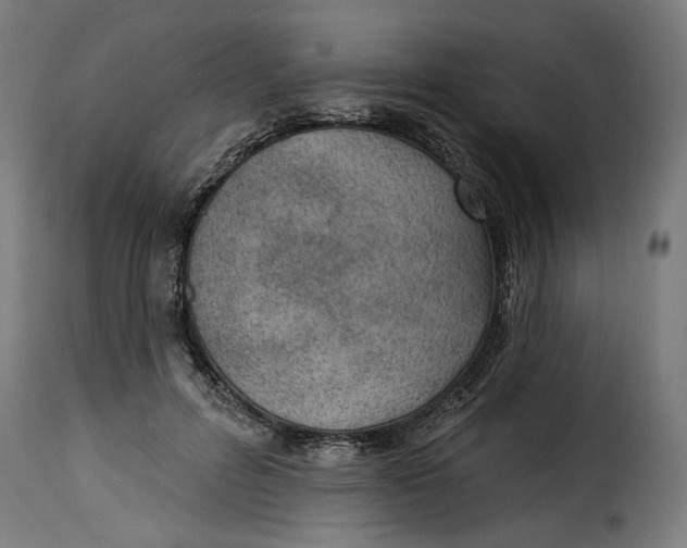 X0000115250600200911201644