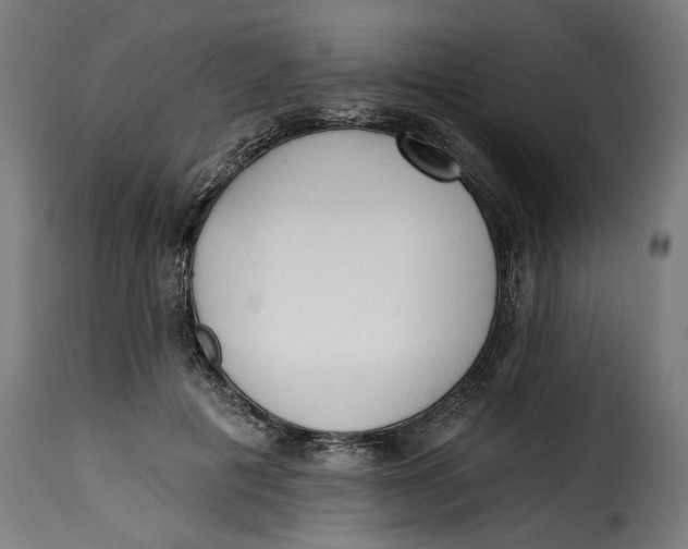 X0000115250601200911201644