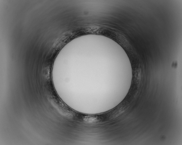 X0000115250602200911201644