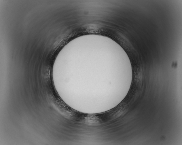 X0000115250603200911201644