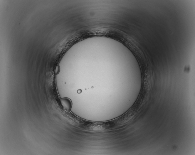 X0000115250604200911201644