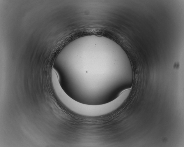 X0000115250605200911201644