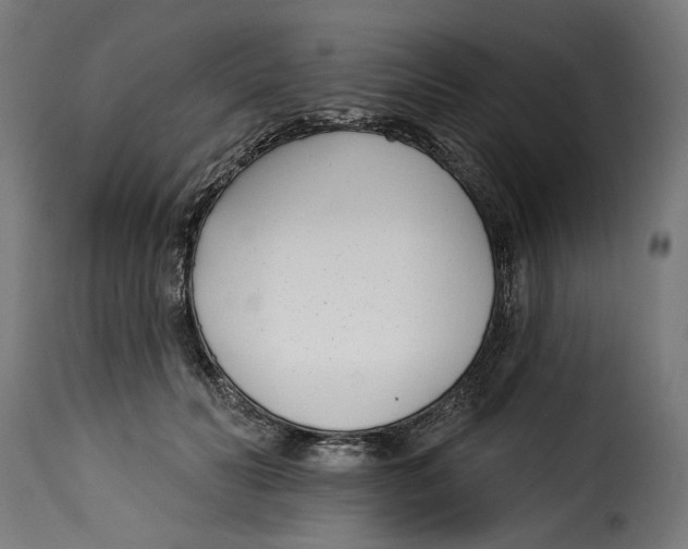 X0000115250606200911201644