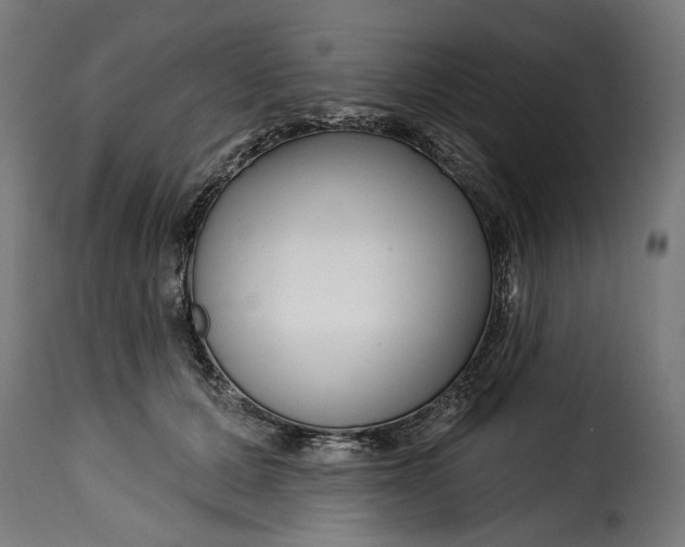 X0000115250607200911201644