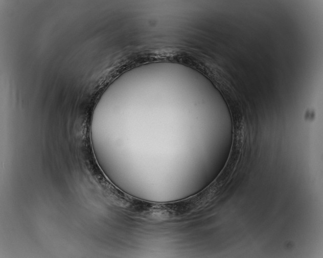 X0000115250608200911201644