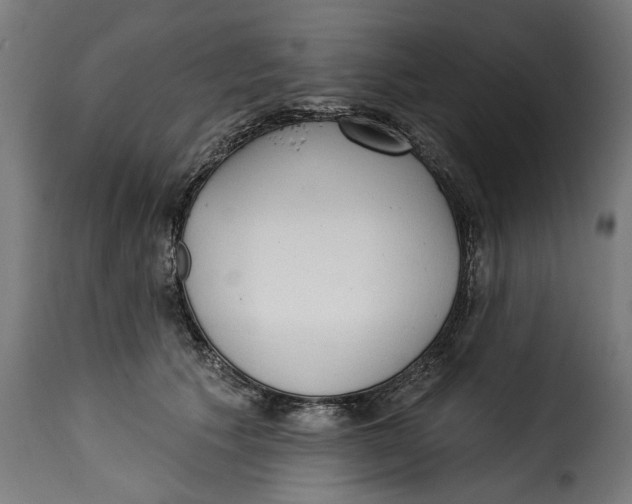 X0000115250609200911201644