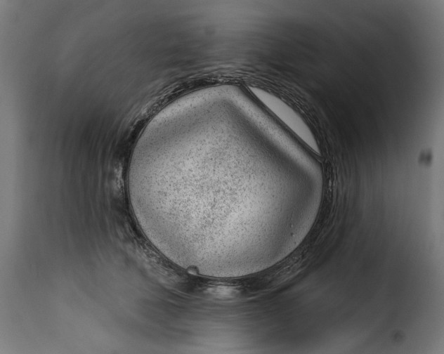 X0000115250610200911201644