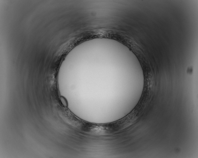 X0000115250611200911201644