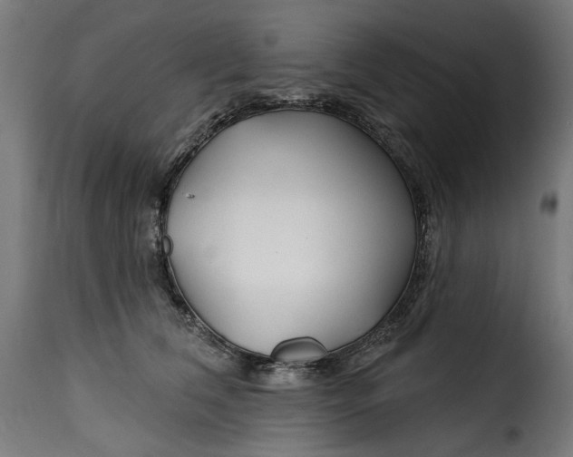 X0000115250612200911201644