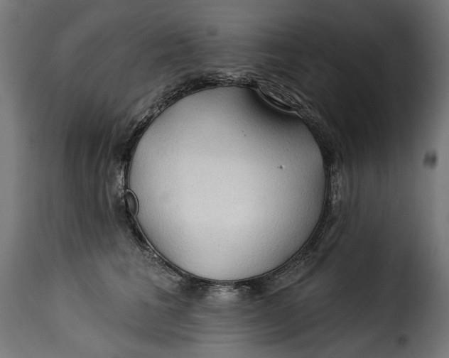 X0000115250613200911201644