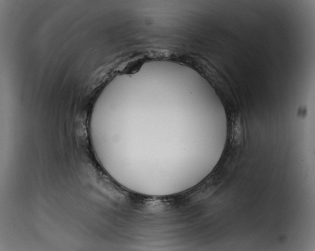 X0000115250616200911201644