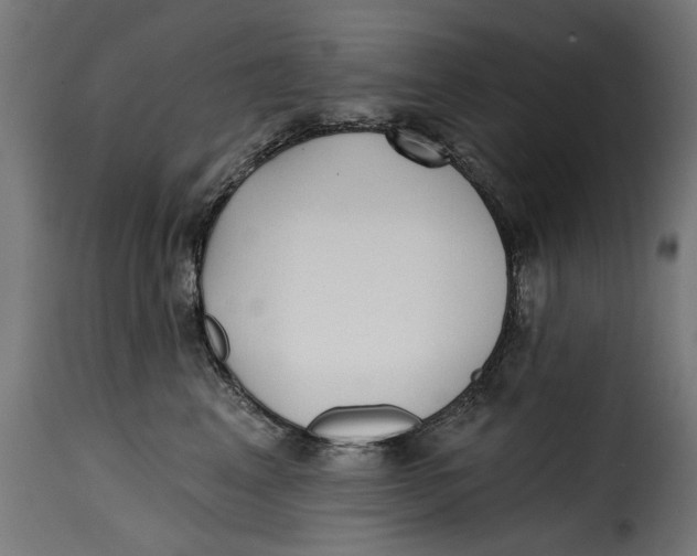 X0000115250617200911201644