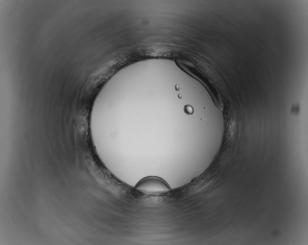 X0000115250620200911201644