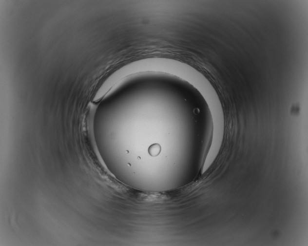 X0000115250621200911201644