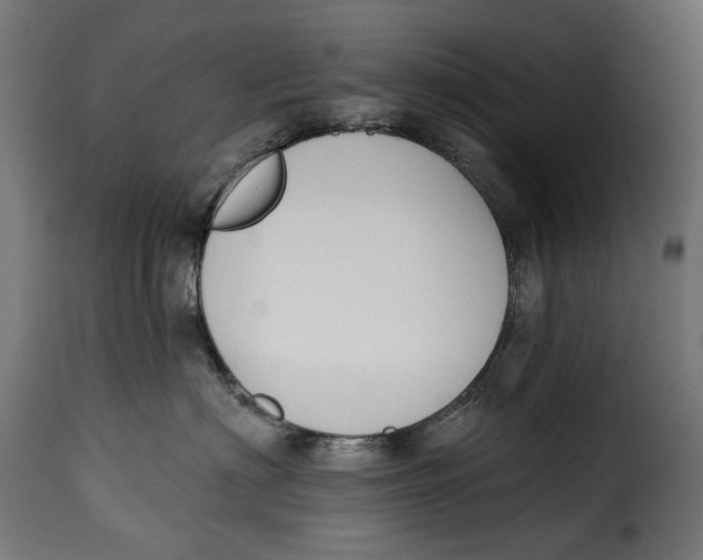 X0000115250622200911201644