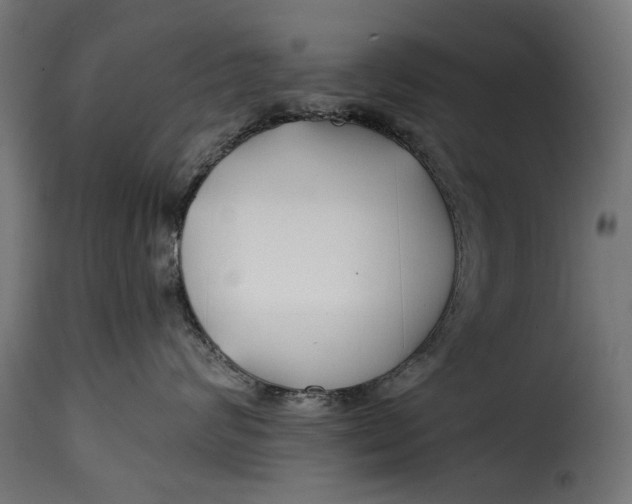 X0000115250624200911201644