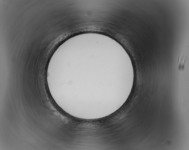 X0000115250625200911201643