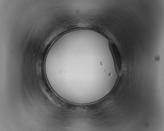 X0000115250626200911201643