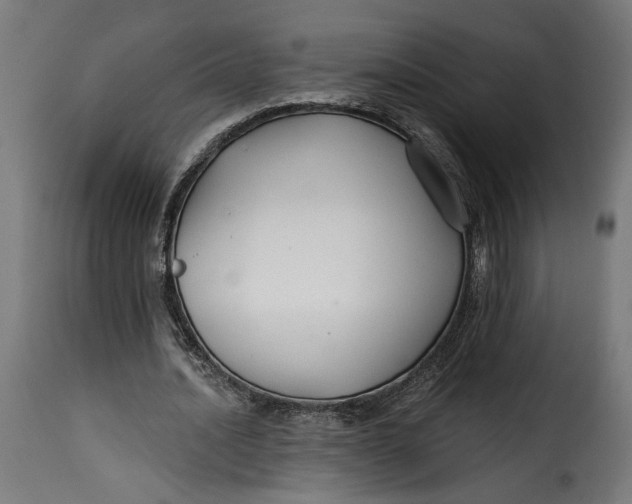 X0000115250628200911201643