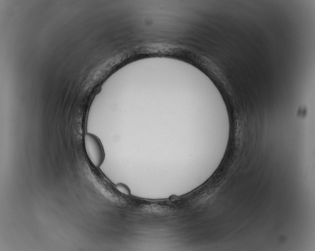 X0000115250633200911201643