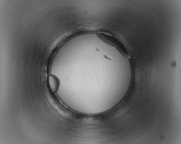 X0000115250634200911201643