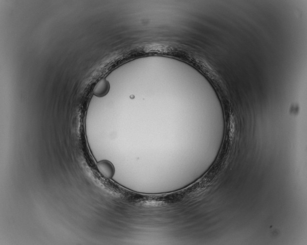 X0000115250637200911201643