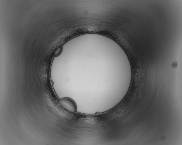 X0000115250639200911201643