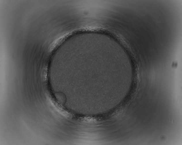 X0000115250640200911201643