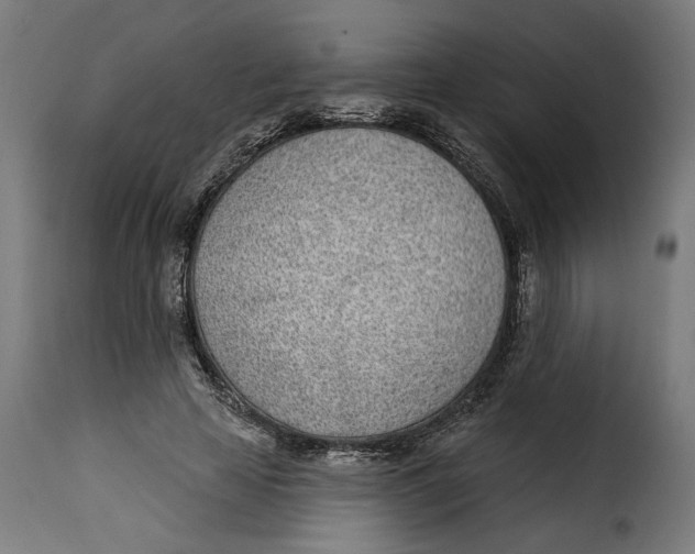 X0000115250641200911201643