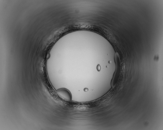 X0000115250643200911201643