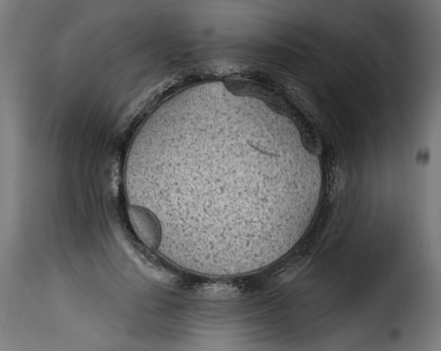 X0000115250644200911201643