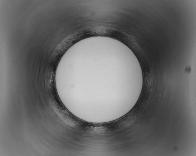 X0000115250645200911201643