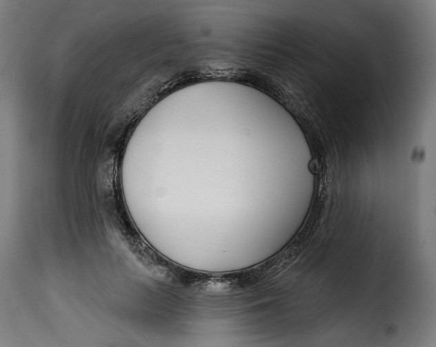 X0000115250647200911201643