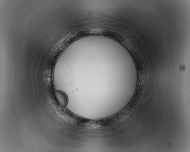 X0000115250648200911201643